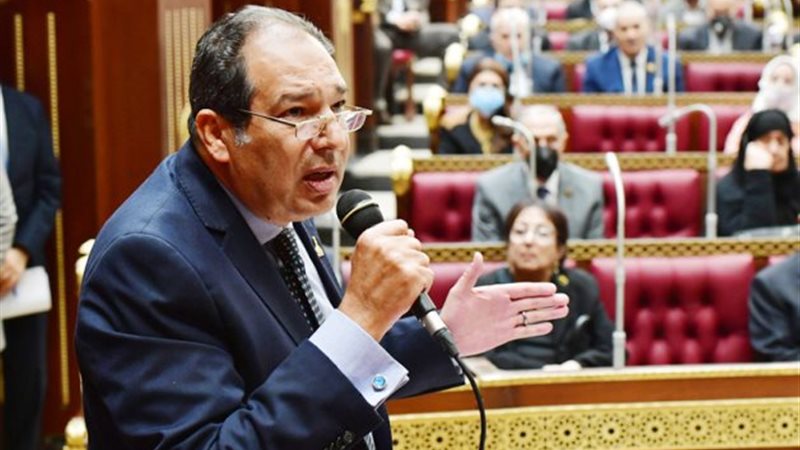 النائب حسام الخولي