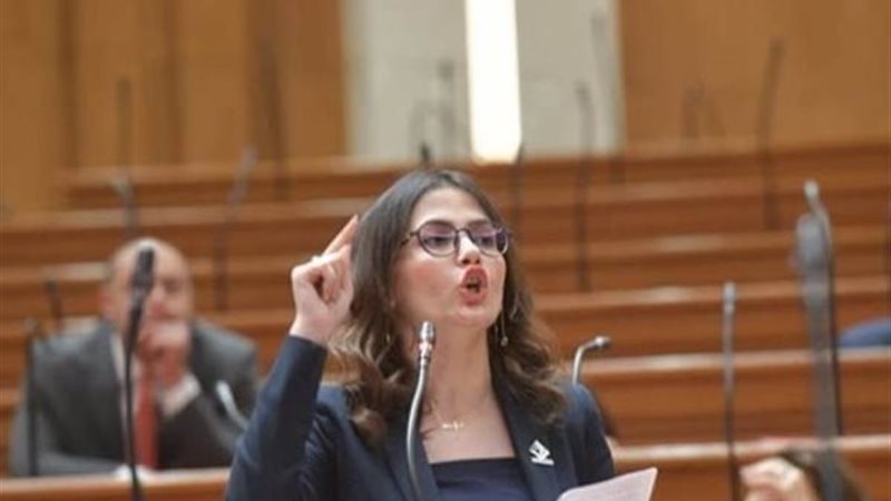 النائبة نيفين إسكندر،