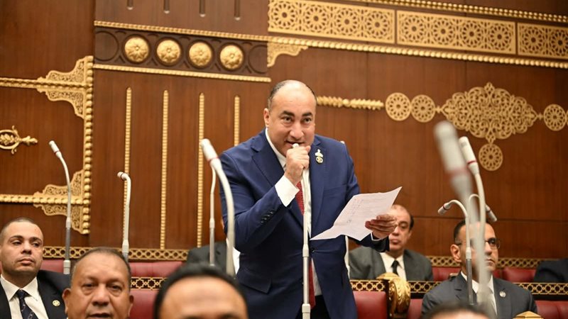  النائب عمرو رشاد
