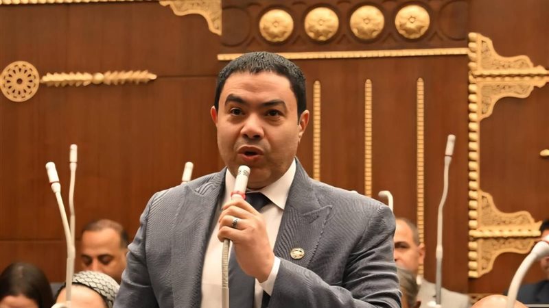 النائب إسماعيل الشرقاوي
