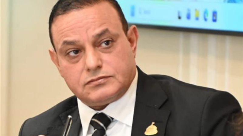 النائب مختار همام
