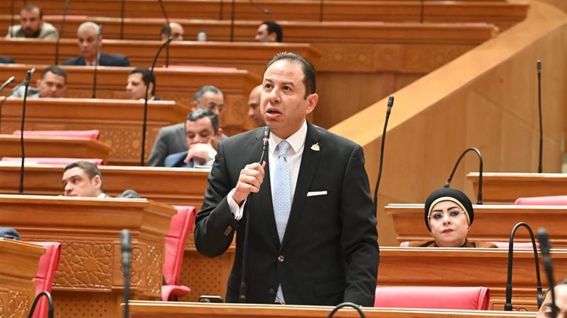  النائب حسن عمار