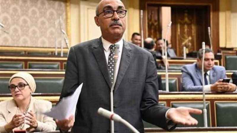 إيهاب منصور، عضو مجلس النواب