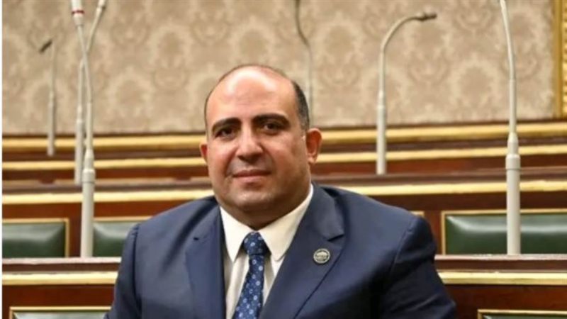محمد سليم، وكيل لجنة الشئون الأفريقية بمجلس النواب