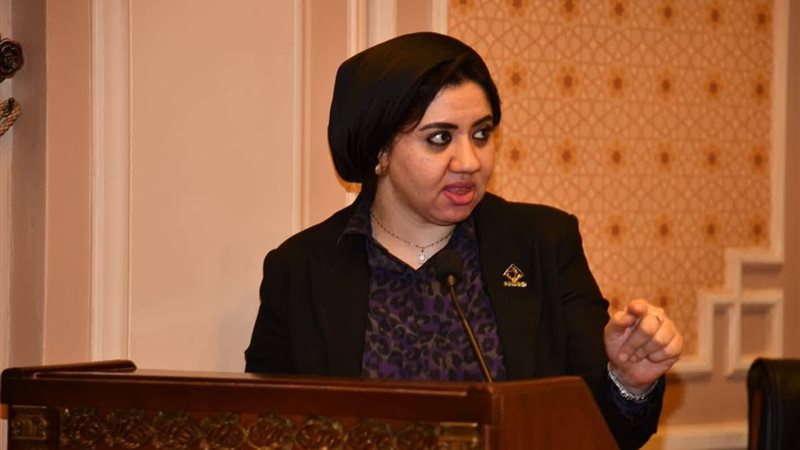عضو مجلس الشيوخ، النائبة أميرة صابر