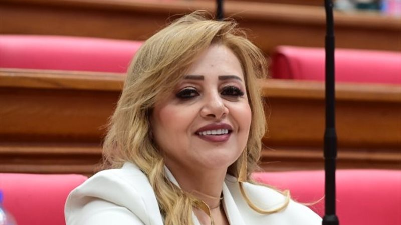 النائبة هبة غالي