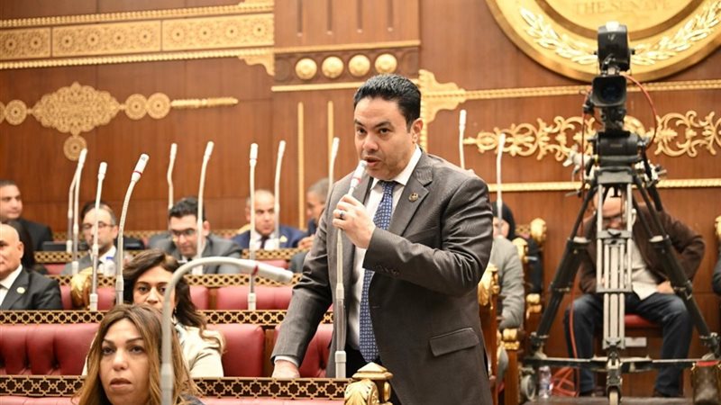 النائب إسماعيل الشرقاوي