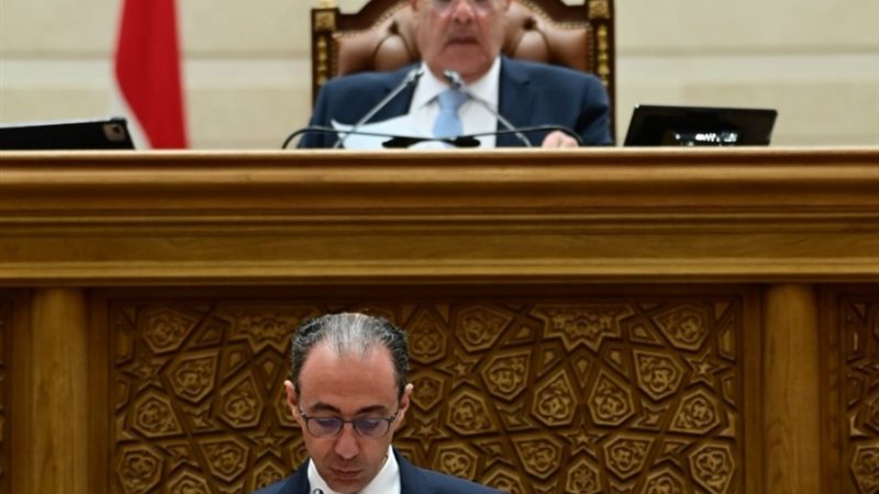 النائب شريف باشا