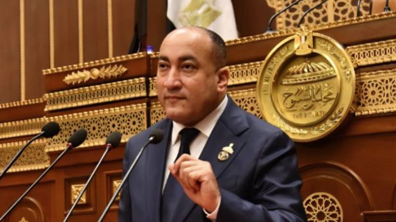 النائب عمرو رشاد