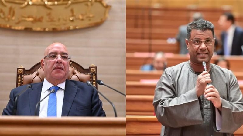 المستشار هشام بدوي