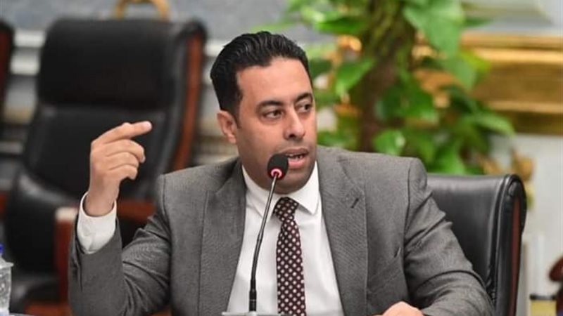 النائب أحمد فرغلي، عضو مجلس النواب