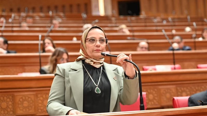 النائبة نجلاء العسيلي