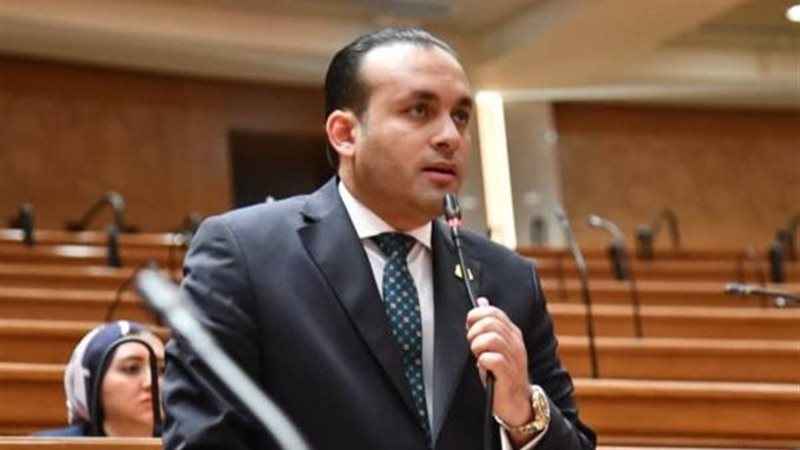 النائب عمرو فهمي