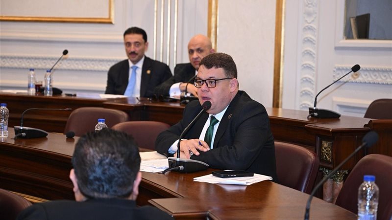 النائب محمد جمال البديوي، عضو مجلس الشيوخ