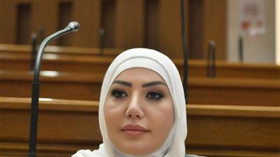 النائبة عبير عطا الله: زيادة المعاشات 15% تعكس انحياز الرئيس السيسي للمواطنين وتعزز الحماية الاجتماعية