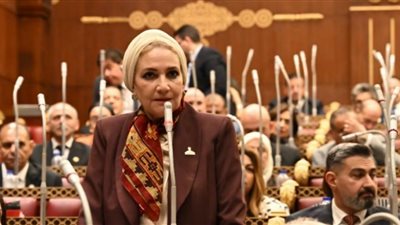 النائبة رانية صدقي: لا نريد 