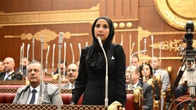 ولاء هرماس: مناقشة «روبلوكس» وتأمين الثانوية العامة ضمن إنجازات مجلس الشيوخ