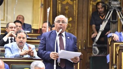 الـ«كيوت»: أكثر أمانًا.. محمد عطية الفيومي: ترخيص التكاتك وتحديد خطوط سيرها ضرورة لمواجهة الجرائم والفوضى | خاص