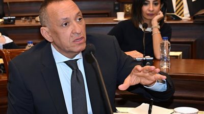 النائب ياسر عبدالمقصود: 30 يونيو استعادت ريادة الدبلوماسية وصانت القرار الوطني