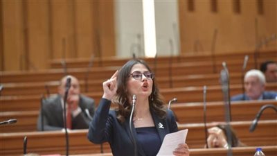 ظلم للعرسان والمغتربين.. النائبة نيفين إسكندر تدافع عن أصحاب شقق الإسكان الإجتماعي المغلقة وتؤكد: