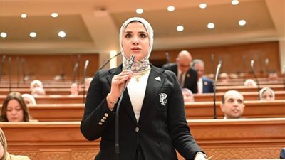 النائبة غادة قنديل تفتح ملف الدعم النقدي ومصير رغيف الخبز المدعم أمام 