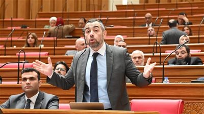 بـ4 طلبات إحاطة.. النائب محمد فؤاد يبحث تحديات ملكية الدولة والاستثمار والادخار المحلي في 