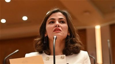 عشوائية الأرقام تهدد سلامة المواطنين.. النائبة نيفين اسكندر تحذر من 