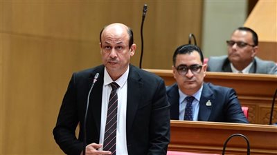 سمير البيومي: ثورة 30 يونيو جسدت إرادة المصريين وأرست أسس الجمهورية الجديدة