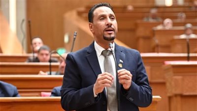 النائب جرجس لاوندي: قضايا الأحوال الشخصية للأقباط 