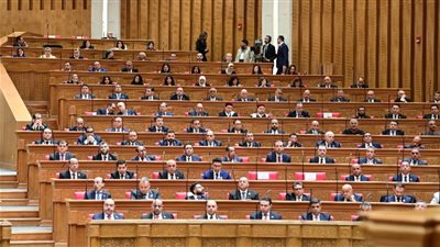 مجلس النواب يحيل تحديد موعد مناقشة الرعاية الحرجة وتعويضات المواطنين لهيئة المكتب