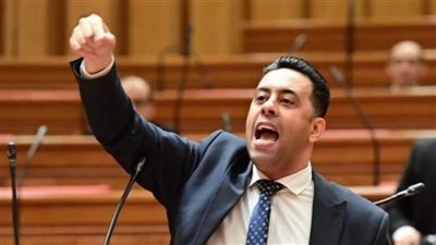 النائب أحمد فرغلي يحذر من 