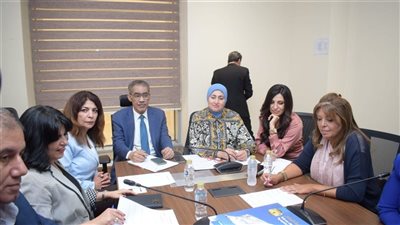 الدكتور ضياء رشوان أمام النواب: الوزارة ليست جهة رقابية.. والإعلام يمر بأزمة مالية طاحنة