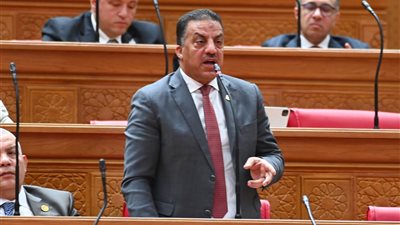 نائب حماة الوطن يكشف بالأرقام وضع الاقتصاد المصري قبل وبعد ثورة 30 يونيو ويرصد 13 عاما من الإنجازات