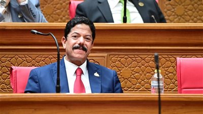 النائب علاء سليمان الحديوي يطالب الحكومة بالتدخل لتفعيل مشروع النقل الجماعي في جهينة وطهطا وطما بسوهاج
