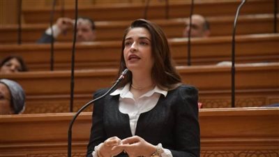 إيرين سعيد: أتصالات النواب أوصت بمجانية المنصات الحكومية و