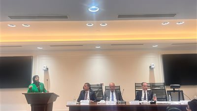 النائبة مريم العزب تطالب بحلول عاجلة لنقص ألبان الأطفال وأزمة الأطباء بالوحدات الصحية