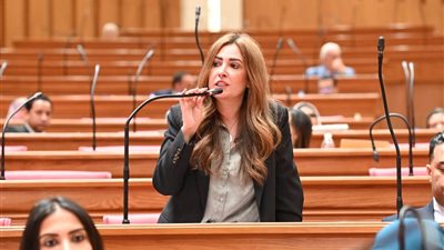 أميرة العادلي: اتفاقية الوضع القانوني لجمعيات الصليب والهلال الأحمر تعزز العمل الإنساني وتحفظ السيادة الوطنية