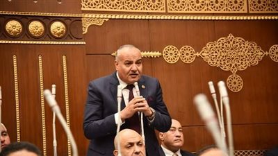 عضو مجلس الشيوخ: القيادة الاستراتيجية بالعاصمة الجديدة ركيزة لحماية الأمن القومي