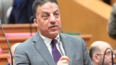 فيصل أبو عريضة: الإسراع في انتخابات المحليات استكمال لخريطة بناء الدولة المصرية | خاص