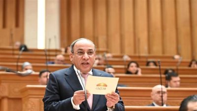 وكيل دينية النواب: مطالب برلمانية لتخفيف أعباء الأسمدة والغرامات عن صغار المزارعين