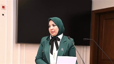 دينا هلالي تتقدم بطلب إحاطة بشأن آليات التعامل مع المضبوطات المتحفظ عليها خلال حملات الإشغالات