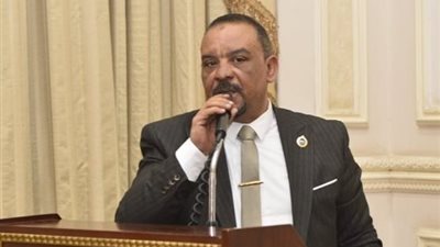 النائب أحمد حافظ: قمة السيسي ومحمد بن زايد تؤكد أن الشراكة المصرية الإماراتية صمام أمان لاستقرار المنطقة