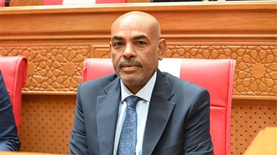 بعد تكرار الحوادث.. النائب محمد أبو الخير يطالب بسرعة استكمال الطريق الصحراوي الشرقي بين الأقصر وأسوان