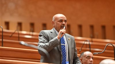 النائب محمد أبو الخير يطالب بتدخل عاجل لإنهاء الانقطاع اليومي للمياه بإدفو