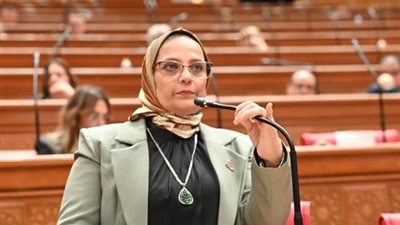 نجلاء العسيلي: العلاقات المصرية الإماراتية ركيزة لدعم الأمن القومي العربي واستقرار المنطقة