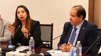 منح الموظف فرصة للإصلاح.. النائبة نشوى الشريف: لن أتراجع عن تعديل قانون 73 حتى إنصاف المتضررين
