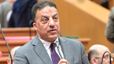 النائب فيصل أبوعريضة: السوشيال ميديا تهدد الأخلاق والأسرة والاقتصاد.. تحولت إلى منبر للشائعات وإثارة الفتن