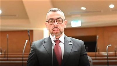 نائب يطالب باستمرار انعقاد 3 لجان برلمانية لحسم أزمات التأمينات والتموين والعدادات الكودية