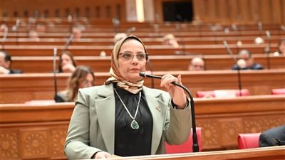 النائبة نجلاء العسيلي تهاجم آلية تعيين المعلمين: كيف يصلح بالحصة ولا يصلح بالعقد؟ | خاص