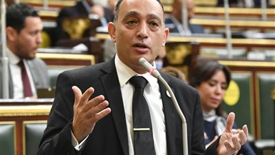 النائب فريدي البياضي: الحيوانات النافقة في الترع تهدد صحة المواطنين والأمن المائي
